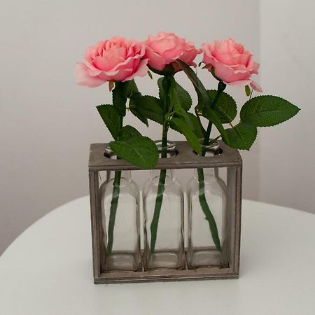 Apartment Nana بيران المظهر الخارجي الصورة